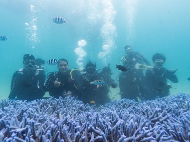 離岸風電與海洋保育共榮 台亞風能澎湖啟動珊瑚復育行動 