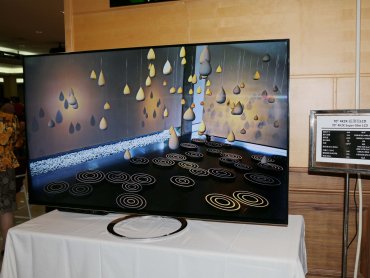 TrendForce：2025上半年面板驅動IC價格跌勢趨緩 金價飆升、中國補貼與美中關稅政策成關鍵變數