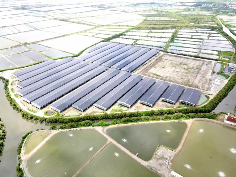 麗升轉投資整合供應鏈 綠電轉供台積電 5億元可轉債募資完成。（麗升能源提供 ）