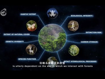 台大實驗林攜手元杉打造生物信用額度示範區 號召企業前進COP30