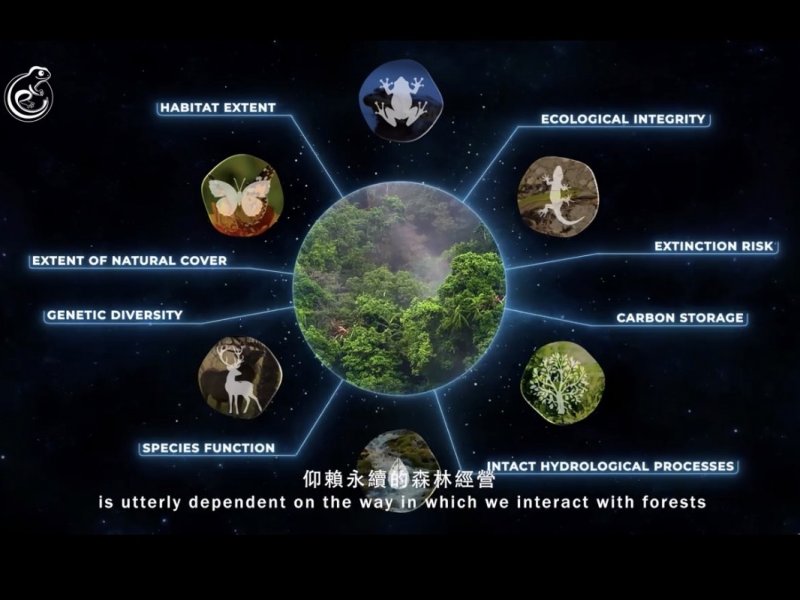 台大實驗林攜手元杉打造生物信用額度示範區 號召企業前進COP30。(元杉提供)