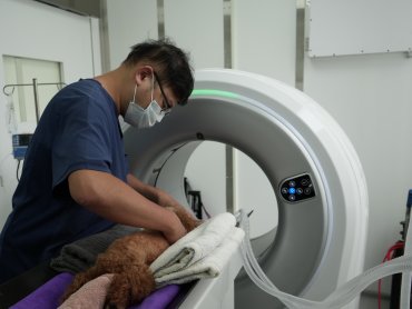 佳世達集團康科特旗下康悅藥品攜手寵訊生醫 引進寵物癌症液態切片 布局寵物精準醫療市場