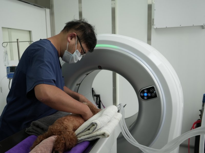 佳世達集團康科特旗下康悅藥品攜手寵訊生醫 引進寵物癌症液態切片 布局寵物精準醫療市場。（佳世達提供）